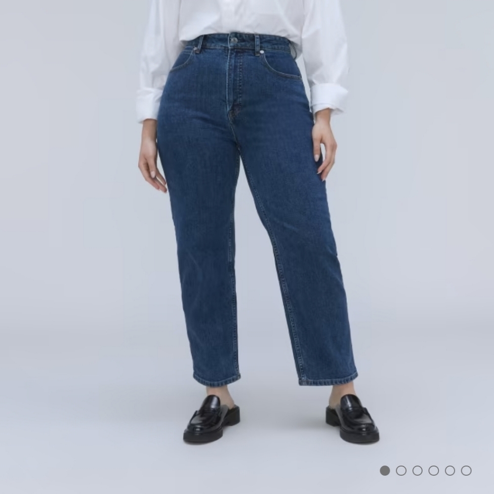 Everlane curvy way high Jean 27